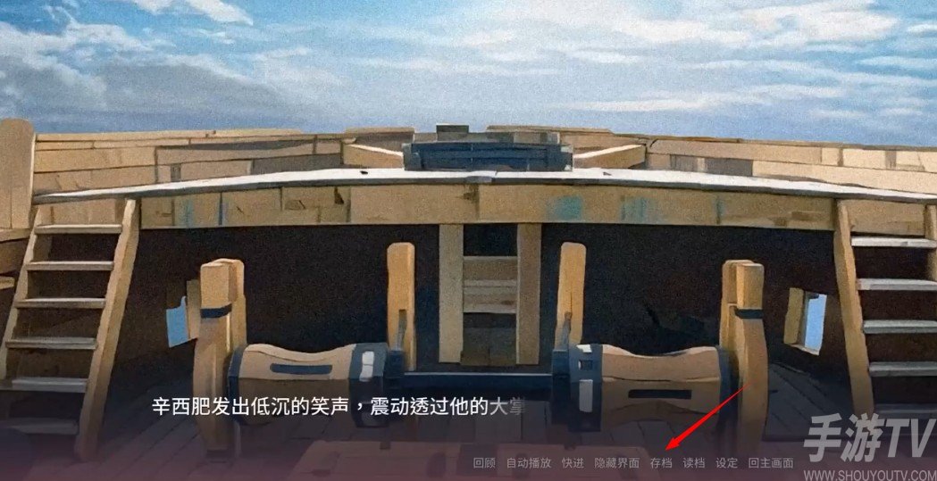我的海盗老公