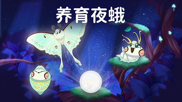 彩翼之星夜游戏截图2