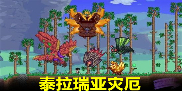 泰拉瑞亚灾厄