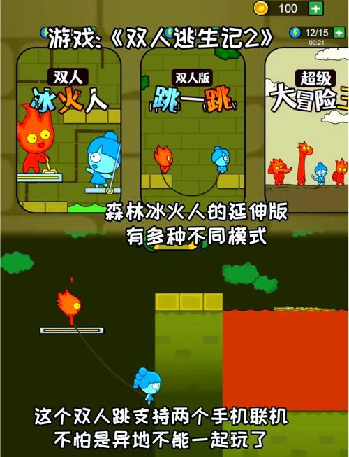 双人小游戏大全,欢乐与挑战并存的游戏世界