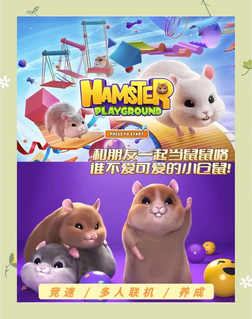 仓鼠乐园小游戏,探索快乐与智慧的新天地