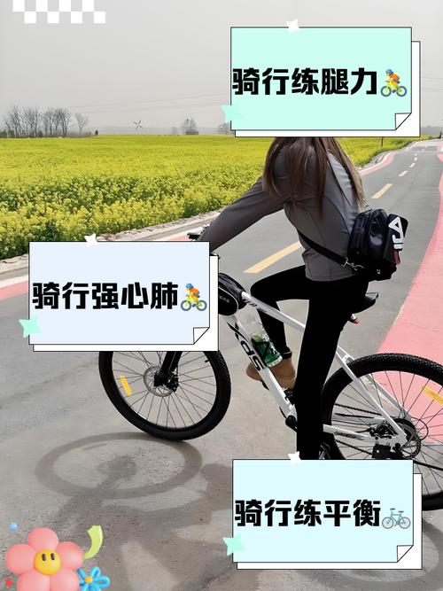 跳出舒适区，体验自行车小游戏的乐趣