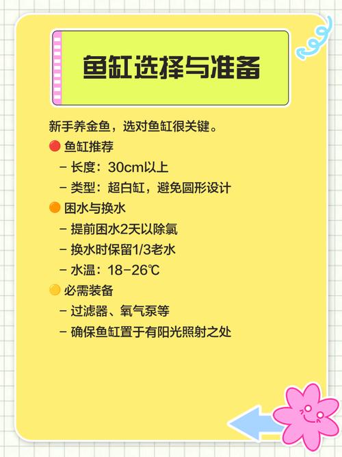 如何在家中轻松养活一条小金鱼?