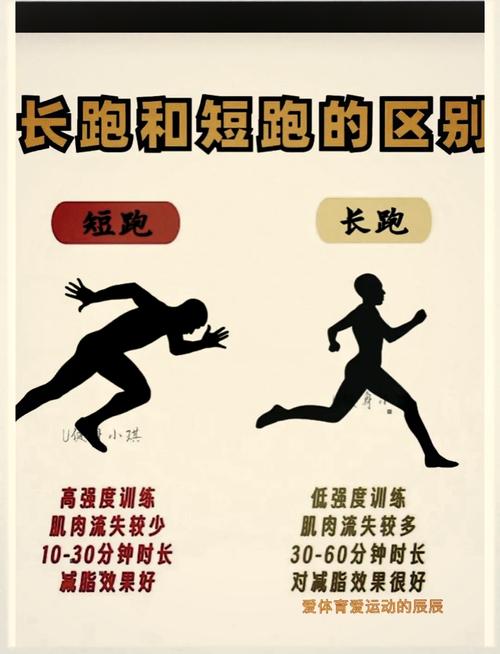 百米赛跑小游戏,激发你的运动热情与策略思维
