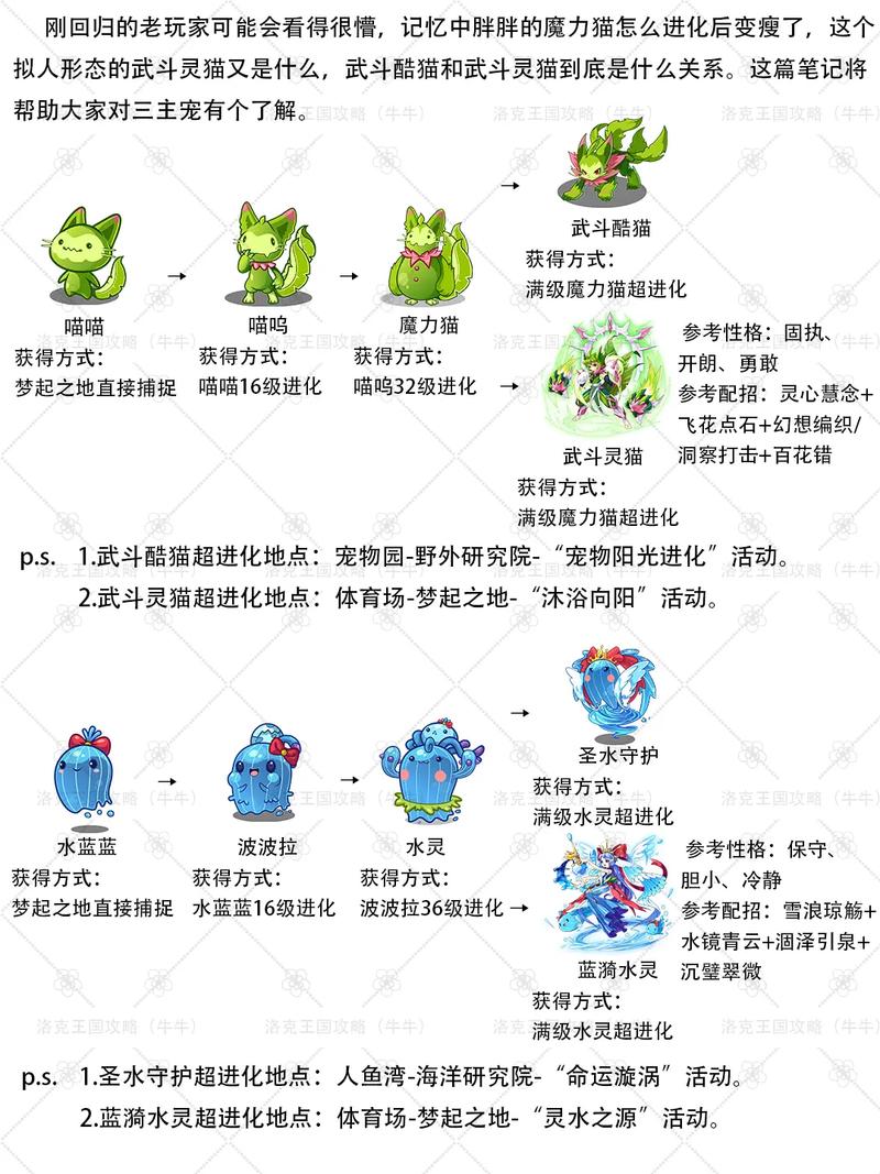 洛克王国萌之王者怎么打?揭秘游戏攻略秘籍