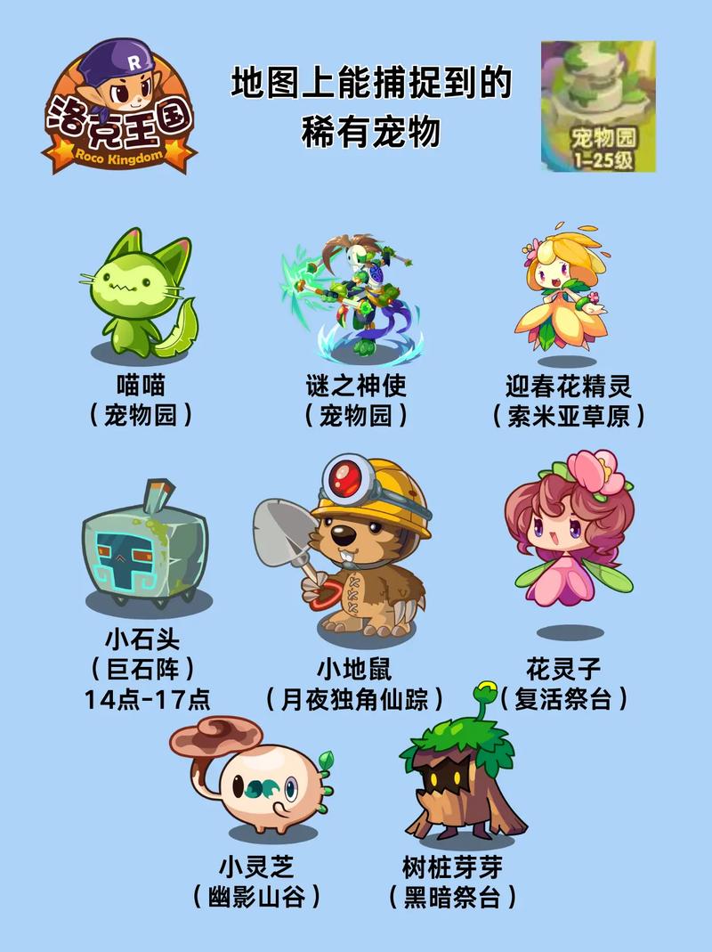 洛克王国孵化宝典,掌握宠物成长的秘密