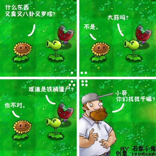 植物大战僵尸四格漫画，趣味与策略完美结合的娱乐体验