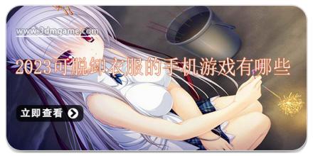 脱衣美女小游戏，探索全新的娱乐体验