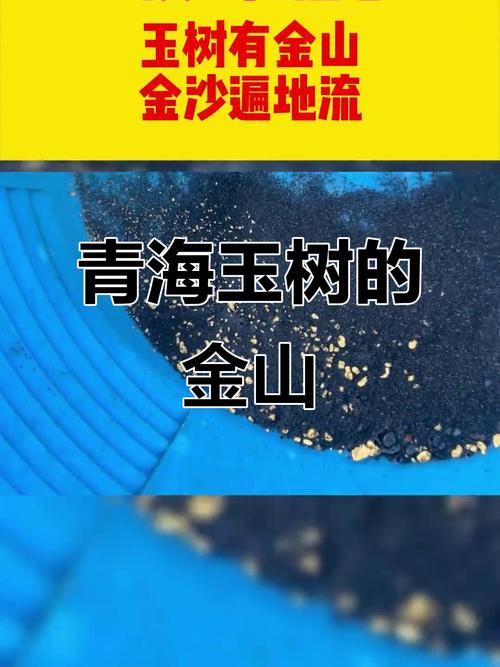 探秘黄金宝地，寻找那片埋藏财富的土地