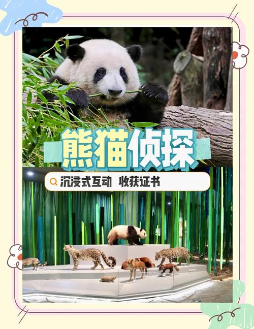 熊猫大冒险,探索大自然中的奇妙旅程