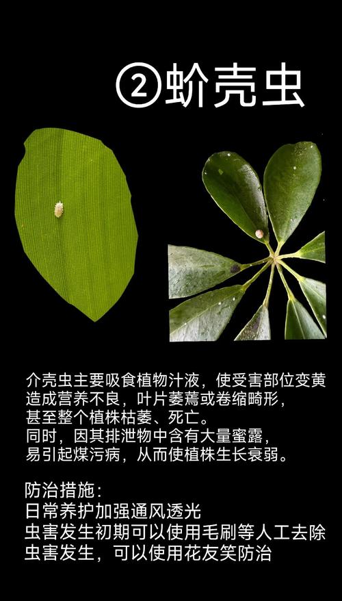 植物大战害虫,绿色生态防治害虫的新方法