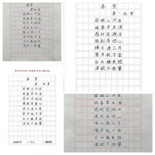 王楼悠悠,探索中国传统诗词的魅力与传承