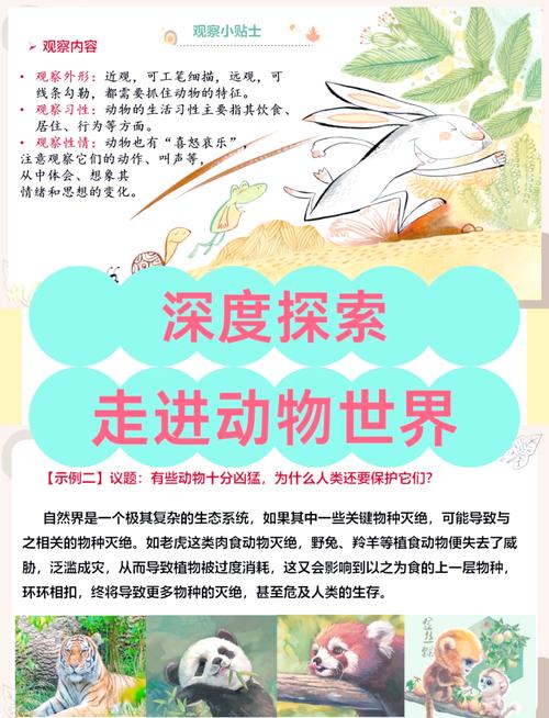走进奇妙的动物世界，如何从动物园逃脱？