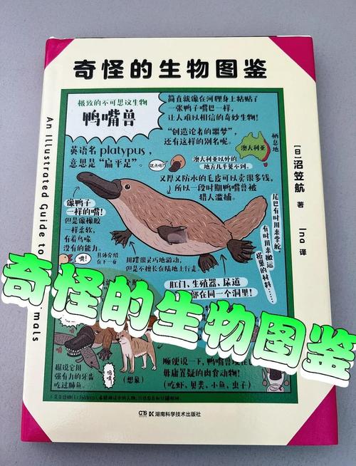奇妙的古怪精灵—探索奇幻世界中的独特生物