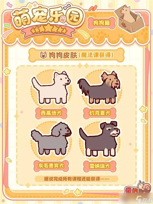 小狗也能玩的游戏，探索狗狗与科技的新联结