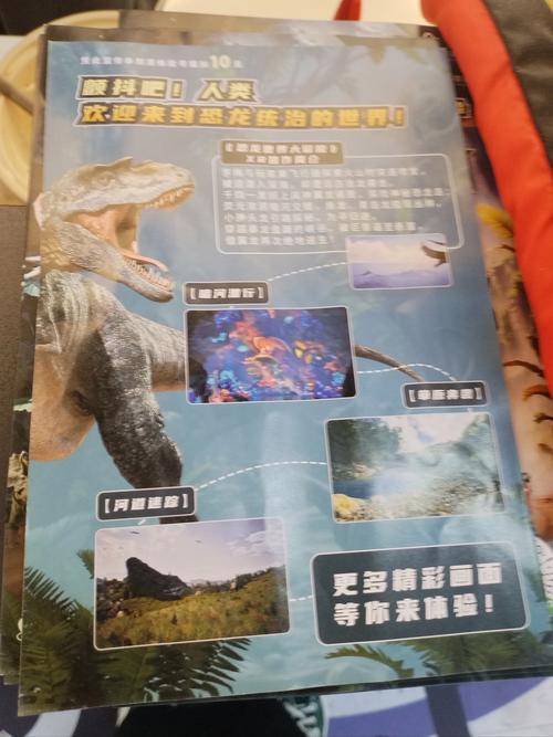 大玩国，探索未知世界的奇妙之旅