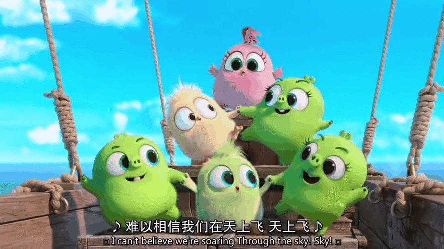 小鸟的愤怒，生态危机下的无声呐喊