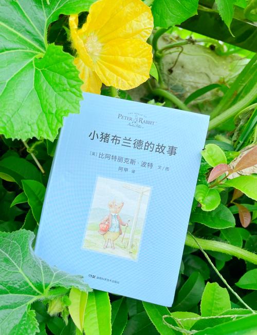 小猪复仇,一场关于正义与勇气的奇幻冒险