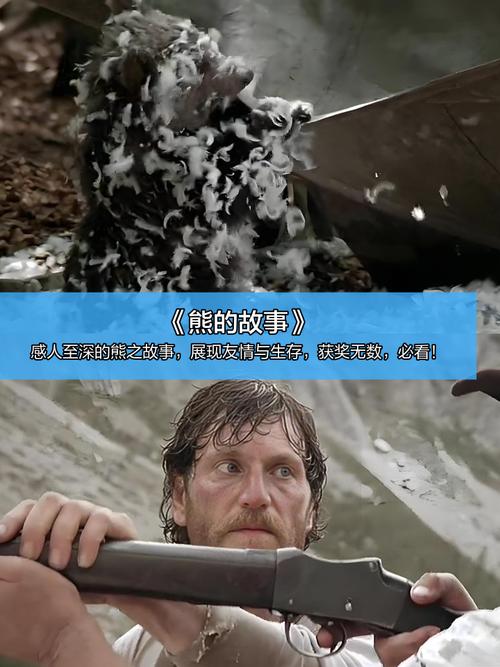 丛林历险记2，探索未知世界的冒险旅程