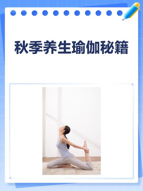 探索SAOLEI，现代养生新选择