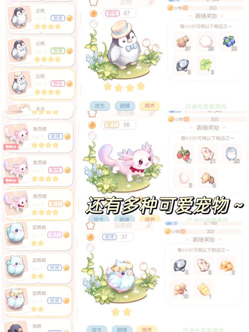 奥比岛第一宫攻略,探索神秘与乐趣的奇妙之旅