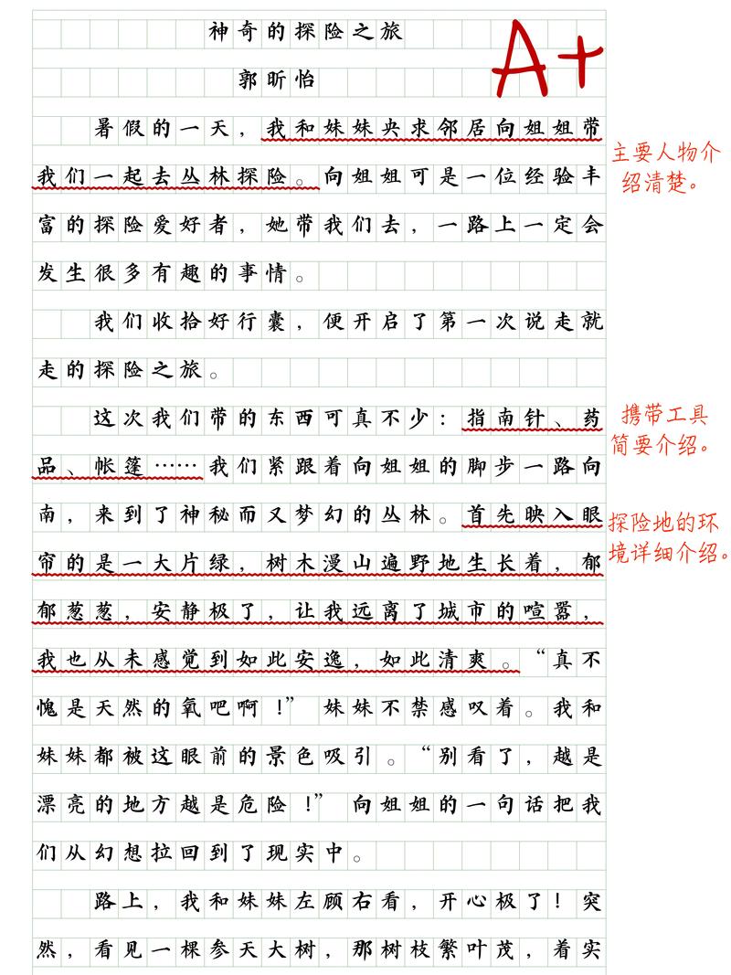 跟随彼得的脚步，一次难忘的探险之旅