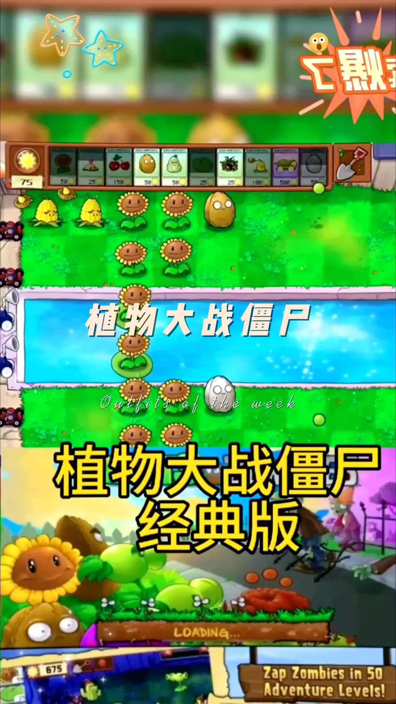 植物大战僵尸安卓免费版，轻松挑战，欢乐无限！