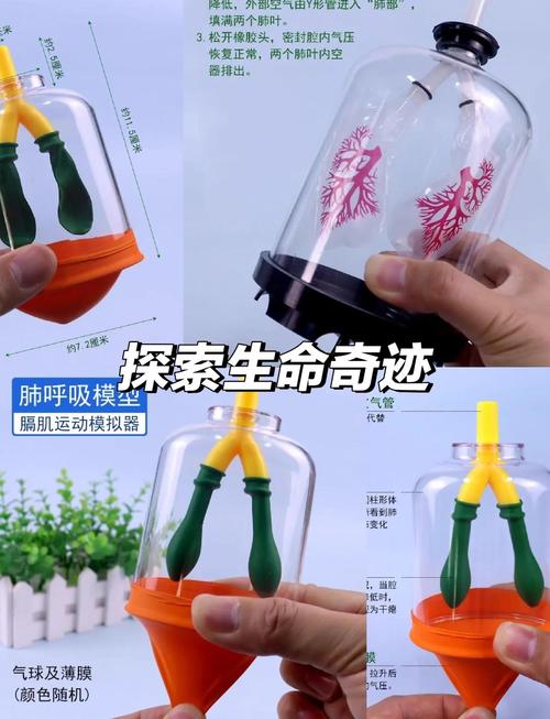神奇的HOYINGRENZHE—探索健康生活的秘密武器