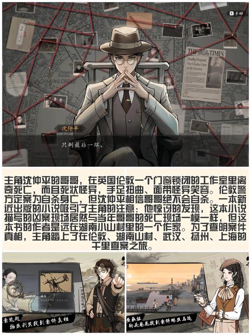 胡侦探11，揭秘悬疑世界中的智慧与勇气