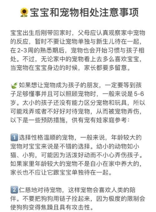 如何让宠物成为家庭游戏的好伙伴？